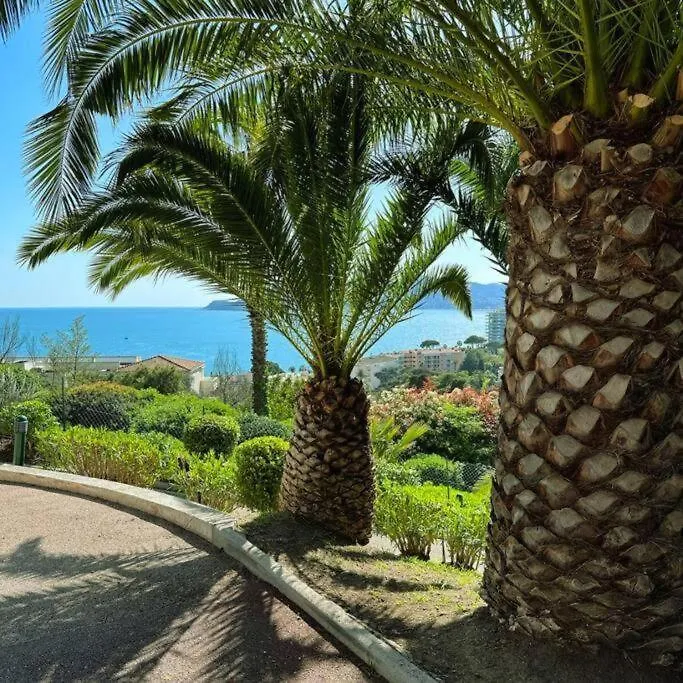 Residence Piscine Vue Mer Parking 4 Personnes Cannes